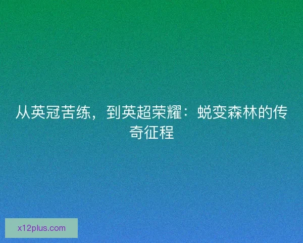 从英冠苦练，到英超荣耀：蜕变森林的传奇征程